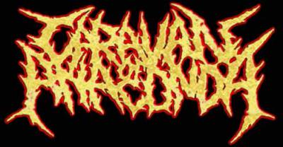 logo Caravan Of Anaconda